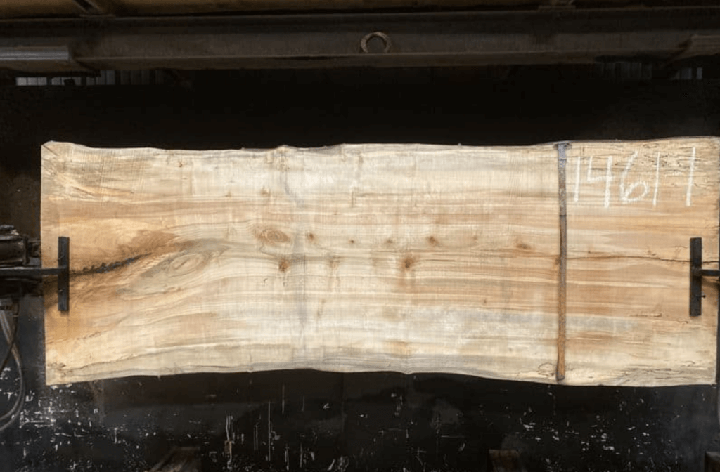 A large, rectangular slab of wood with natural grain patterns and markings is held in place by metal clamps on either side. The number 1461 is written in white chalk on the right side, and just below it, a faintly visible '14' adds an additional layer of intrigue. The background appears to be an industrial setting.